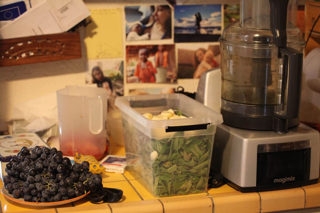 © Jeanne Faucher - 20/09/2024