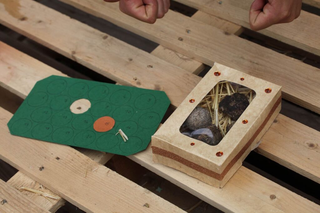 © Jeanne Faucher - 22/09/2024