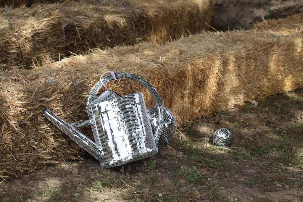 © Jeanne Faucher - 22/09/2024