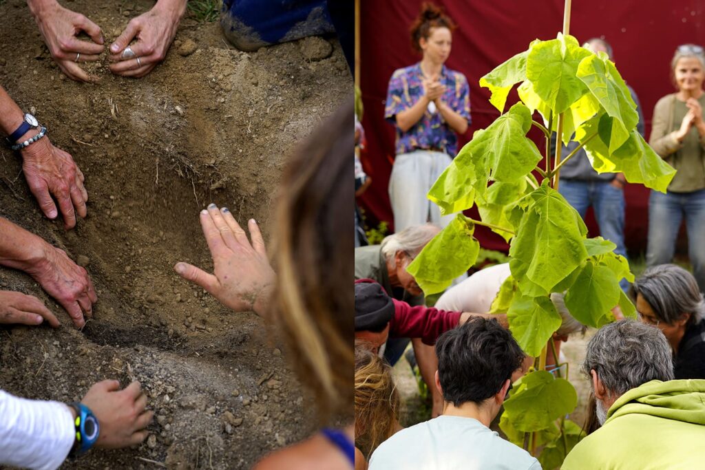 © Elise Desideri - 22/09/2024