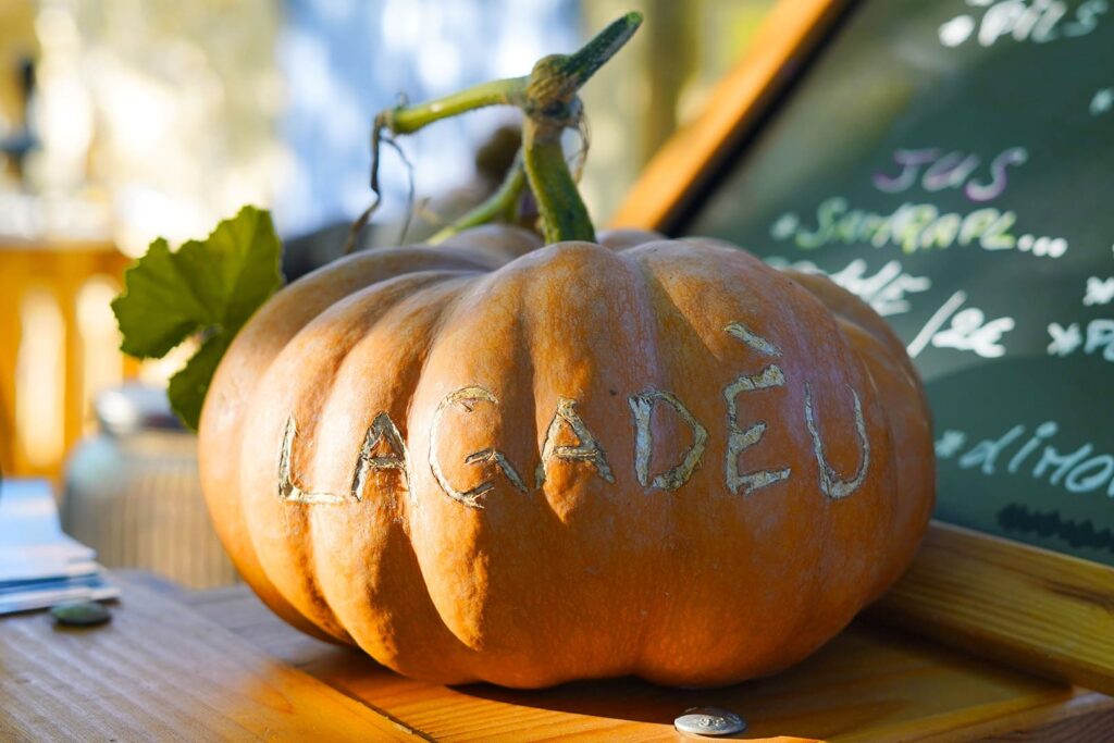 © Elise Desideri - 21/09/2024