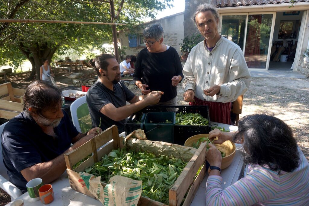 © Sarah Lorrillard - 21/09/2024