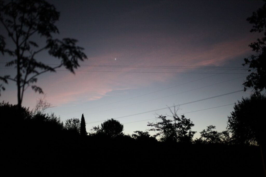 © Jeanne Faucher - 21/09/2025