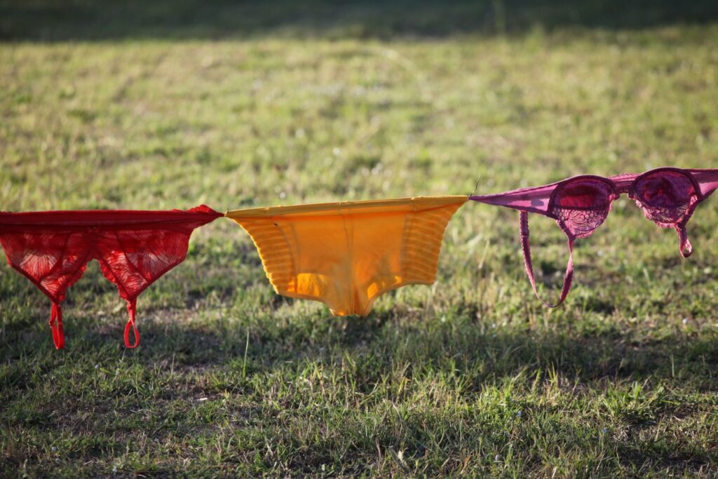 © Jeanne Faucher - 20/09/2025