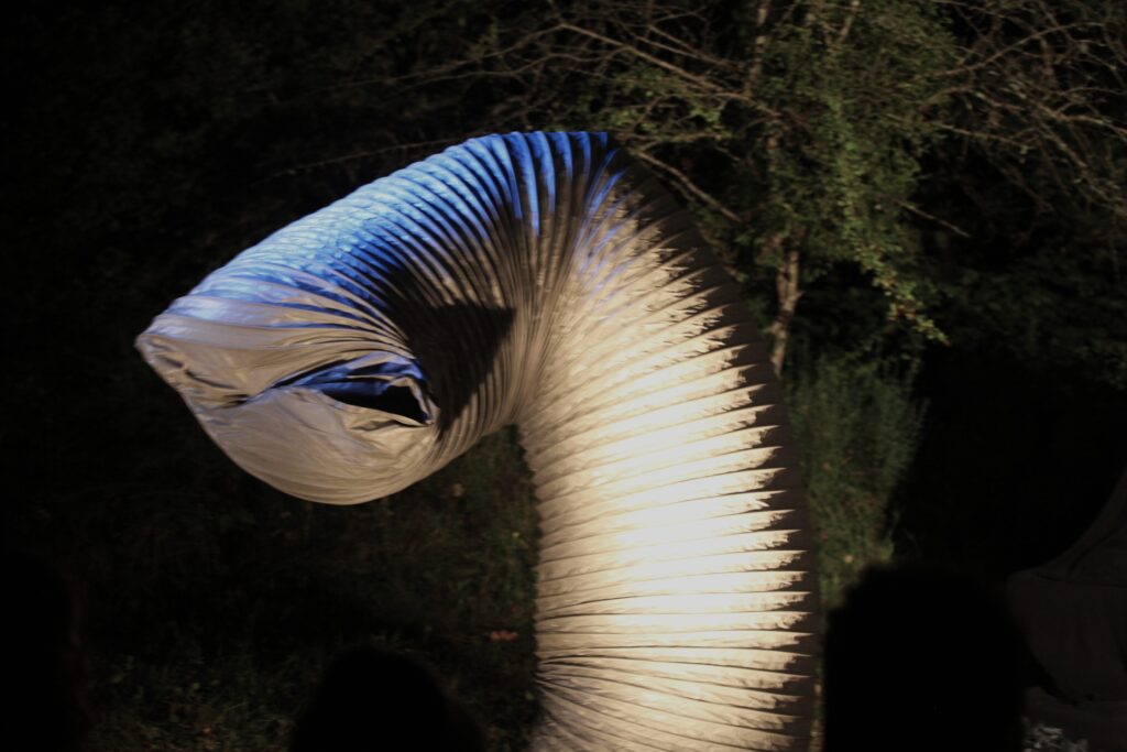 © Jeanne Faucher - 20/09/2025