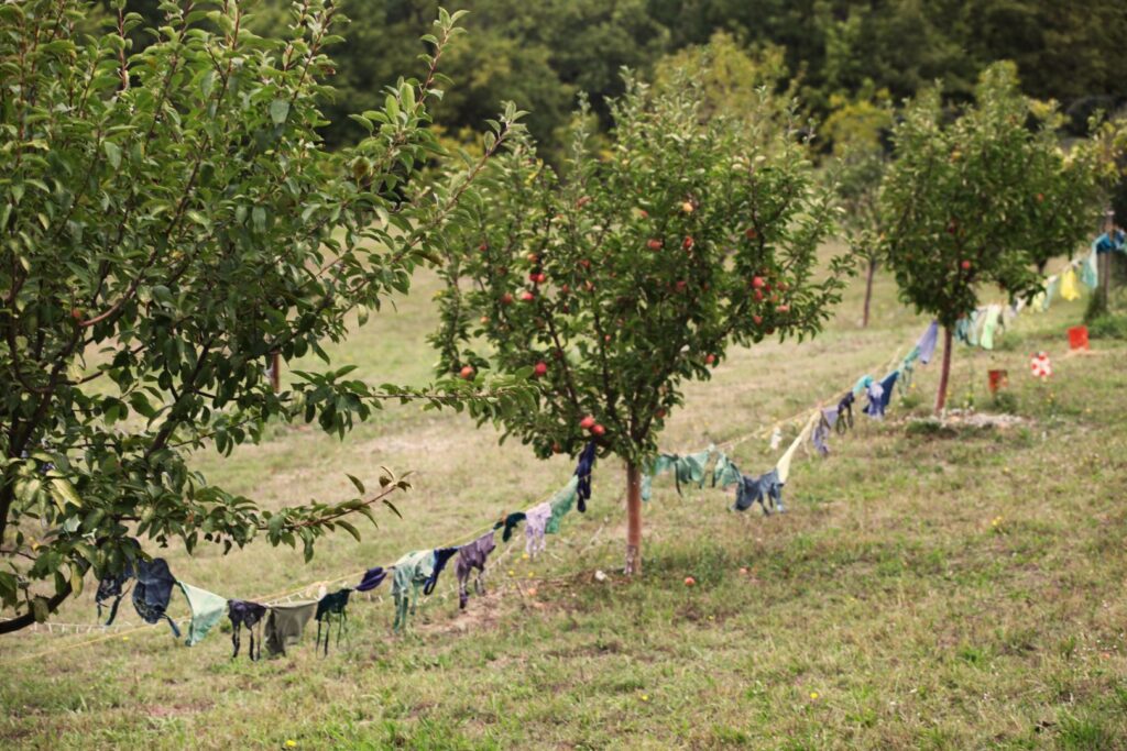 © Nina Chastel - 21/09/2025